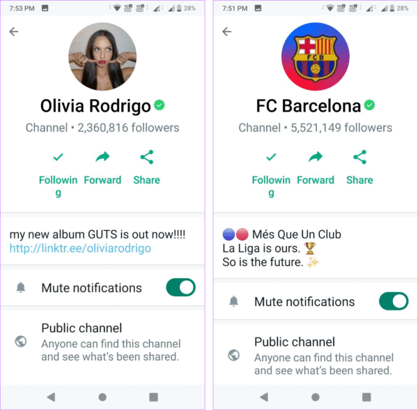 Whatsapp Channel Members | 10K/Day | Global 🌎 | HQ Profiles